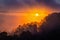 Foggy rainforest with clouds at sunrise