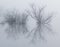 Foggy reflective island on glass lake