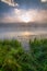 Foggy riverside at summer sunrise with tall grass