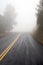 Foggy Road