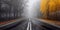 Foggy road in the autumn forest with yellow trees and fog