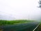 Foggy road near rice fields, black street, aspal