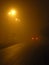 Foggy road in the night