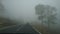Foggy road at teide, tenerife