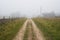 Foggy rural landscape. View of a deserted country dirt road and old wooden houses in the fog.