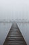 Foggy Sailboat harbor