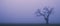 Foggy silhouette tree