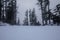 Foggy snow mountain in Mount Rainier National Park in Washington State during Spring