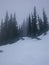 Foggy snow mountain in Mount Rainier National Park in Washington State during Spring