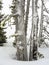 Foggy snowy afternoon at Crater Lake, Cascade Mountains