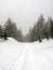 Foggy snowy afternoon at Crater Lake, Cascade Mountains