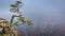 Foggy Sokolica peak in Pieniny mountains at sunrise in Poland