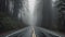 Foggy Straight Redwood Highway in Northern California. Generative AI