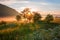 Foggy summer landscape, sun is rising over the golden sunny dewy meadow