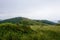 The foggy summit of Yavorinka in the Ukrainian mountains of the Carpathians