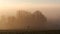 Foggy sunrise on the countryside at Casale sul Sile, one bird flying