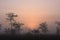 Foggy sunrise in Everglades National Park.