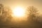 Foggy sunrise in a rural pasture landscape