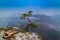 Foggy sunrise at Sokolica peak in Pieniny mountains, Poland