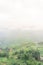 Foggy valley mountain landscape with lush green field terrace rice paddy in Sapa, Northern Vietnam