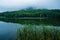 A Foggy View of reeds by Abbott Lake, Peaks of Otter