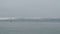 Foggy view of San Francisco skyline and San Francisco Oakland Bay Bridge with boats and birds passing by