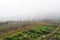 Foggy village in  vicinity of Sapa Vietnam