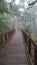 Foggy walkway