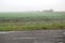 A foggy weat field near an old rural road on a rainy autumn day