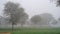 Foggy Winter Morning, Farmers field hidden in the dense fog. Detail of a agriculture farm in the morning with misty on the