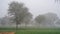 Foggy Winter Morning, Farmers field hidden in the dense fog. Detail of a agriculture farm in the morning with misty on the