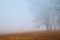 Foggy winter morning on the Gettysburg National Military Park in Gettysburg, PA, USA