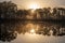 Foggy winter sunrise over Long Pine Key in Everglades National Park.