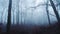 Foggy woods in thick fog weather conditions, with bare winter trees in a mysterious atmosheric woodl
