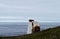 Foghorn overlooking the North Sea on Aberdeenshire, Scotland coast