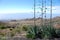 Fogo crater volcano - Cabo Verde - Africa