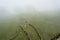 Fogy Landscape of Ricefields in lao chai sapa valey in Vietnam. Sapa, Vietnam.- 22. Mai. 2019