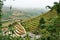 Fogy Landscape of Ricefields in lao chai sapa valey in Vietnam. Sapa, Vietnam.- 22. Mai. 2019