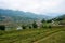 Fogy Landscape of Ricefields in lao chai sapa valey in Vietnam. Sapa, Vietnam.- 22. Mai. 2019