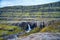 Folaldafoss waterfall and rocky mounatin Iceland