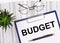 Folded business papers, pen, glasses, a flower in a pot and a tablet with a sheet of paper with the text BUDGET on the desktop.