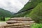 Folded logs against the backdrop of a bridge