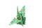 Folded origami paper crane green