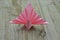 A folded pink paper peacock