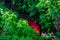 A folded red tarpaulin lies in a ditch between the  fields thrown away in the beautiful nature