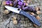 Folding edc knife natural organic nuts violet flowers old wood
