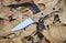 Folding everyday knife stainless steel blade garden autumn leaves