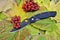 Folding everyday knife stainless steel blade military weapon garden autumn leaves