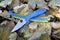 Folding everyday knife stainless steel blade military weapon garden autumn leaves