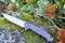 Folding everyday knife stainless steel blade titanium handle green red color flowers garden trees sunny day